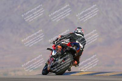 media/Nov-12-2023-SoCal Trackdays (Sun) [[5d1fba4e7d]]/Turn 9 Backside (1015am)/